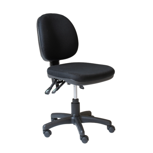 Eco Desk Chair